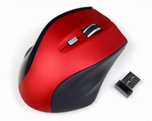 cum arata un mouse