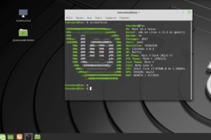 menta linux