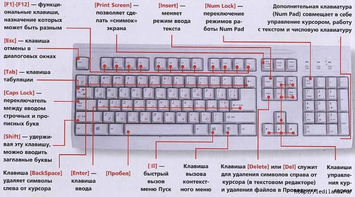 scopul butoanelor de pe tastatură