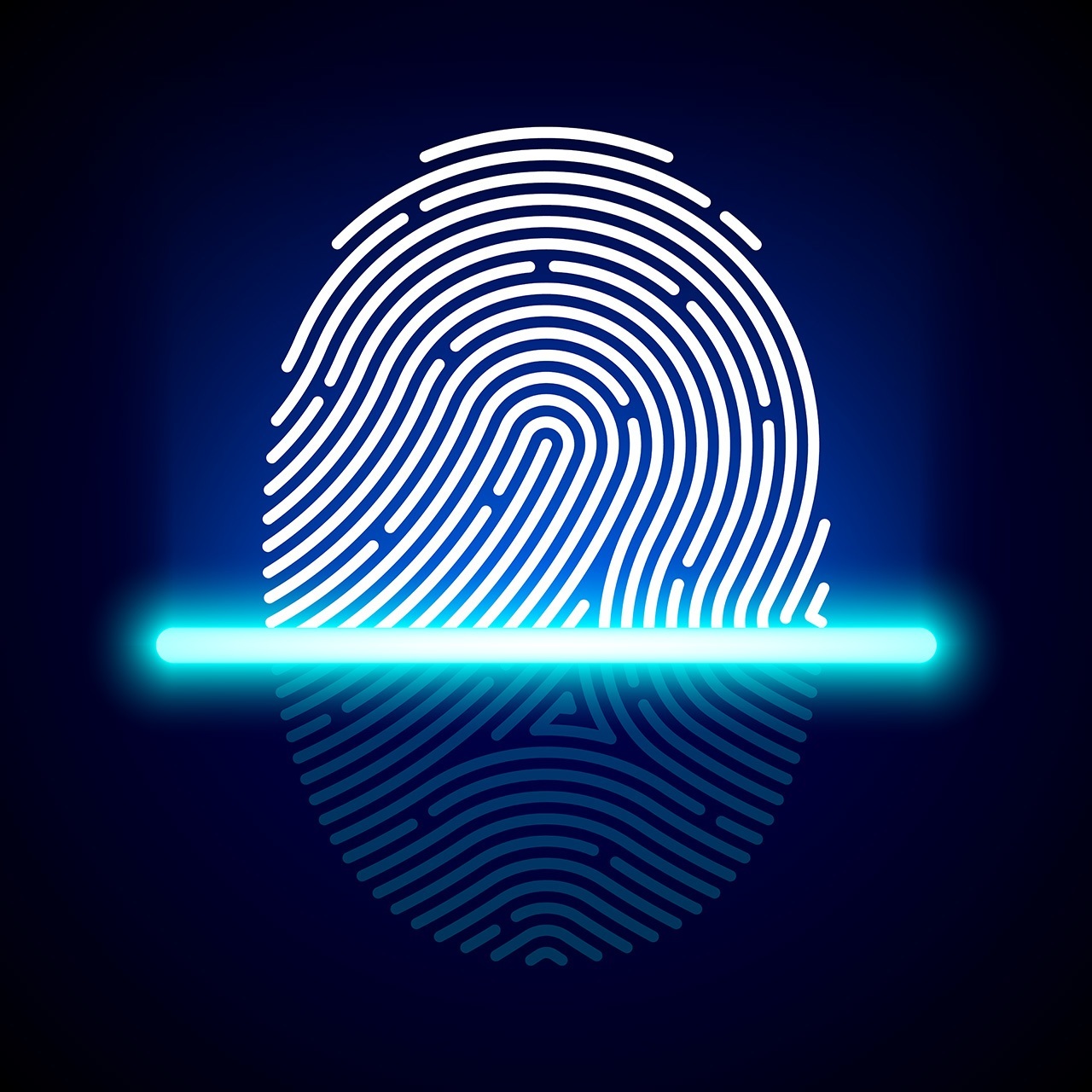 scanner ng fingerprint