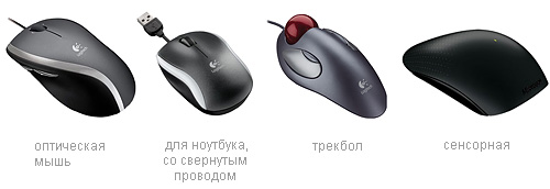 types of mice