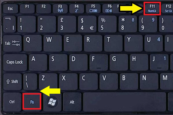 Pagpindot sa Fn at Num Lock key.