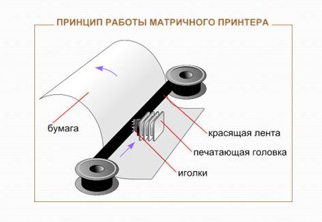 The structure and principle of operation of a dot matrix printer.