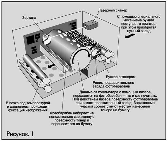 RENDSZER