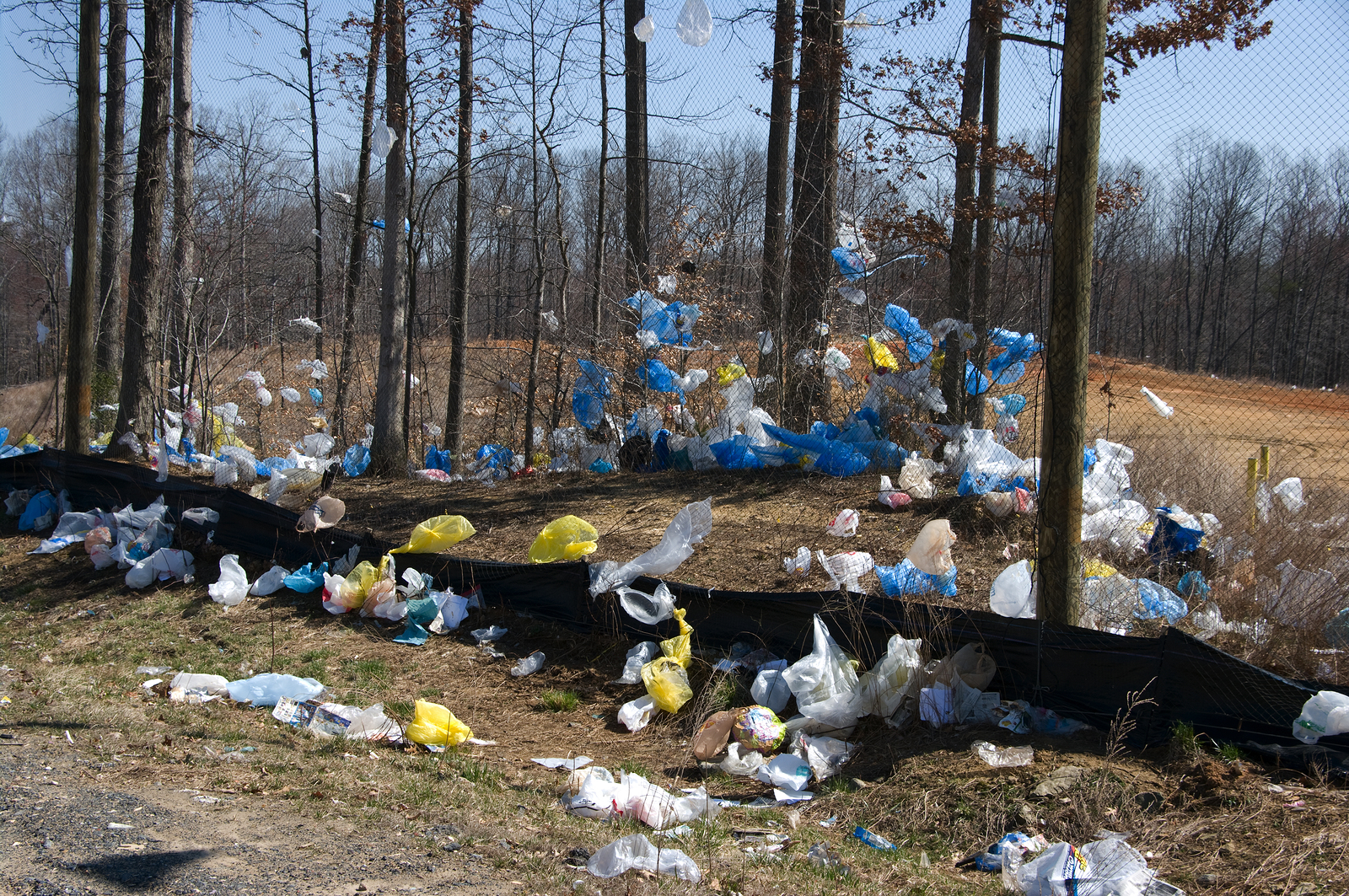 kako će papirnata vrećica spasiti svijet