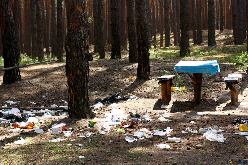 sampah di alam semula jadi