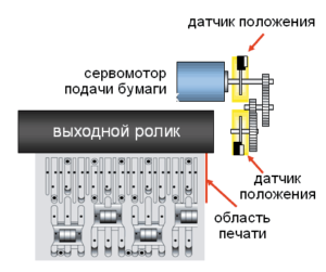 oddaja papirja