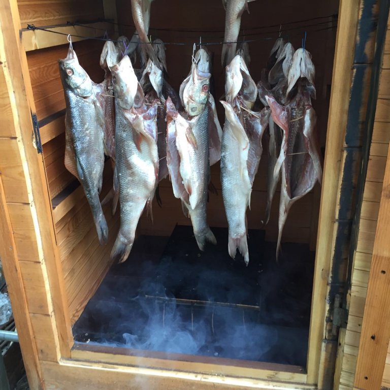 Cold smoked fish in a smokehouse.