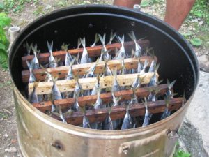 Peixe no fumeiro da máquina de lavar.