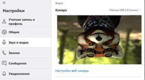 Обърната камера на Skype.