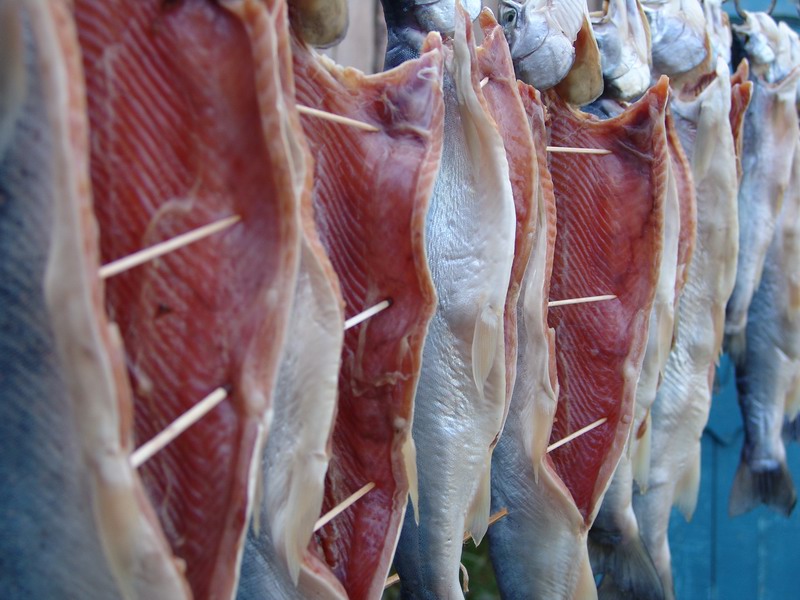 Drying fish before smoking.