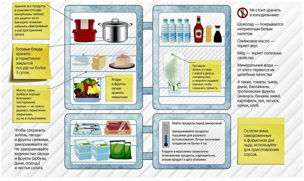 organizzazione