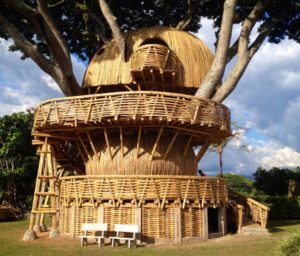 eco-house made of bamboo