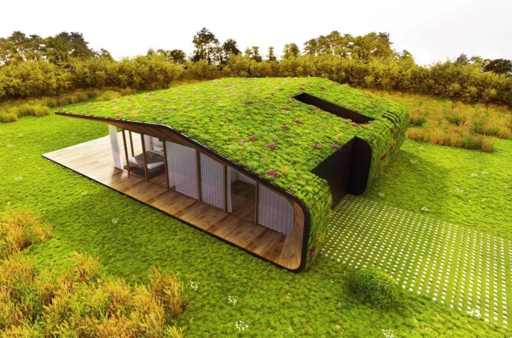 eco-house