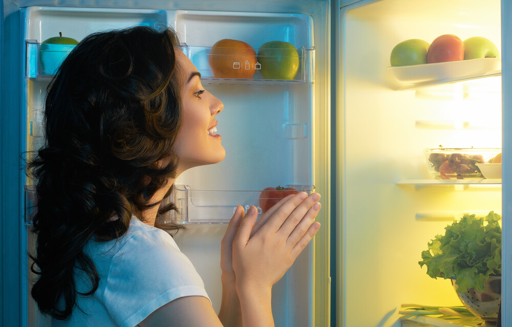 conversación con el refrigerador