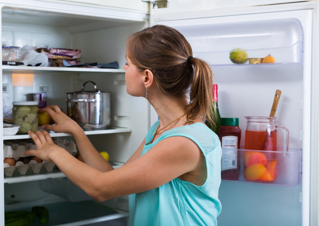 conversación con el refrigerador