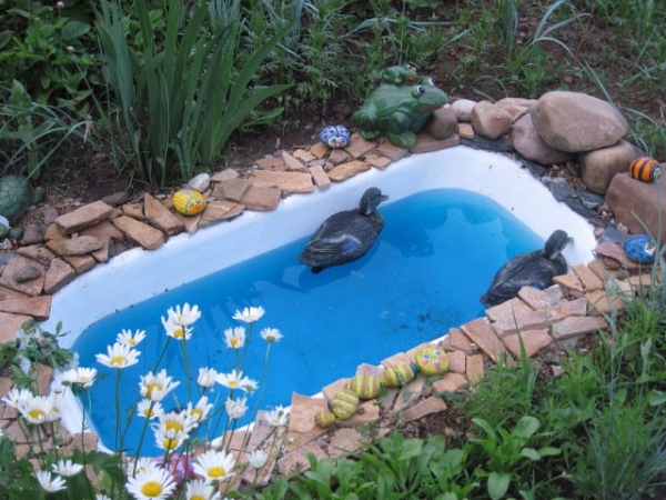 Pond from an old bathtub.