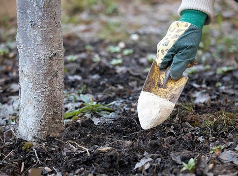 TOP 17 onverwachte lifehacks voor het gebruik van babypoeder op het platteland en thuis