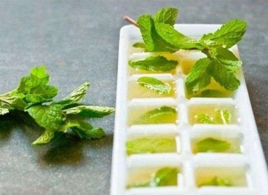 TOP 15 cool ways to use ice cube trays