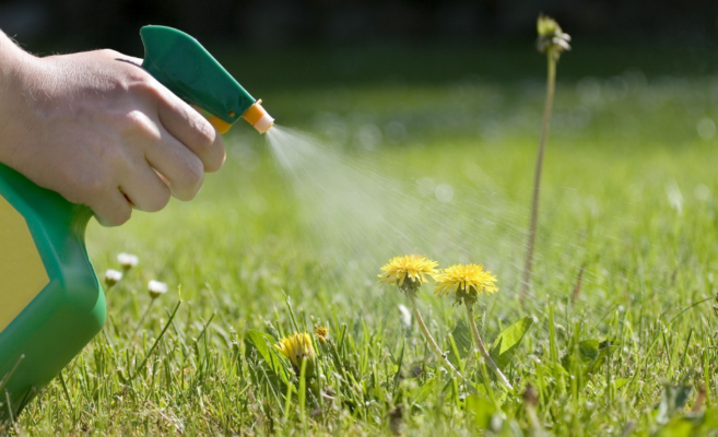 Unusual uses for dishwashing detergents