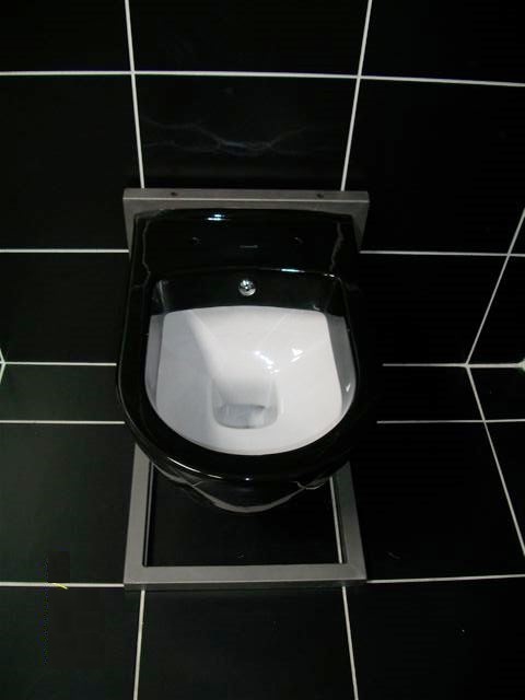 Schwarze Toilette mit weißen Innenseiten