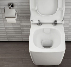 rimless toilet