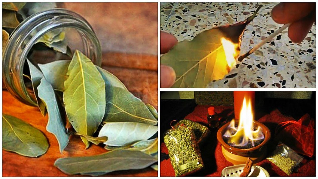 how to set fire to a leaf