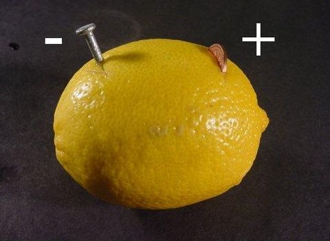 Lemon battery.