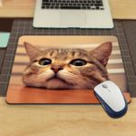 Curățarea unui mouse pad pentru computer