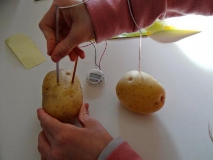 Elektriciteit uit aardappelen.