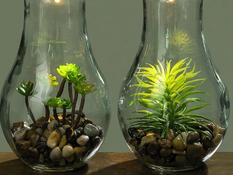 Florarium kecil hiasan dalam lampu.