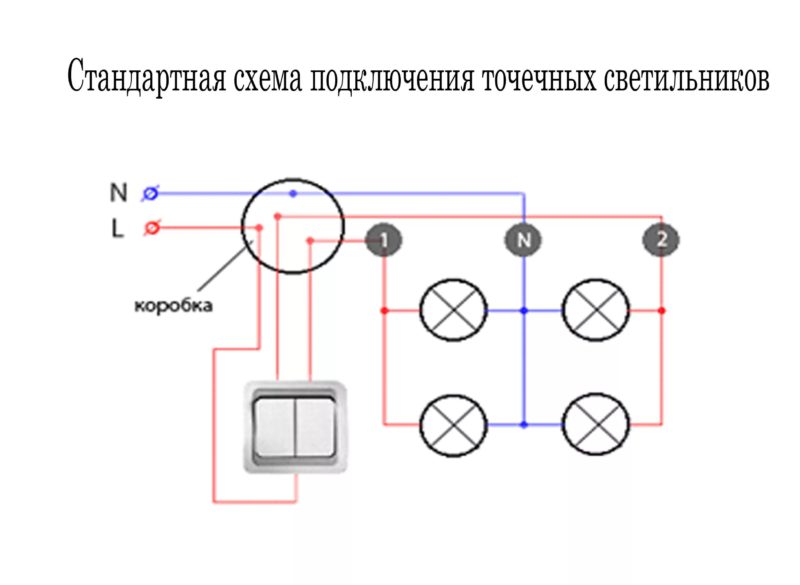 Четирирог