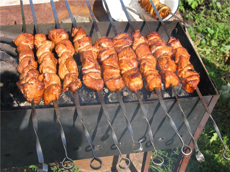 Barbecue con shish kebab