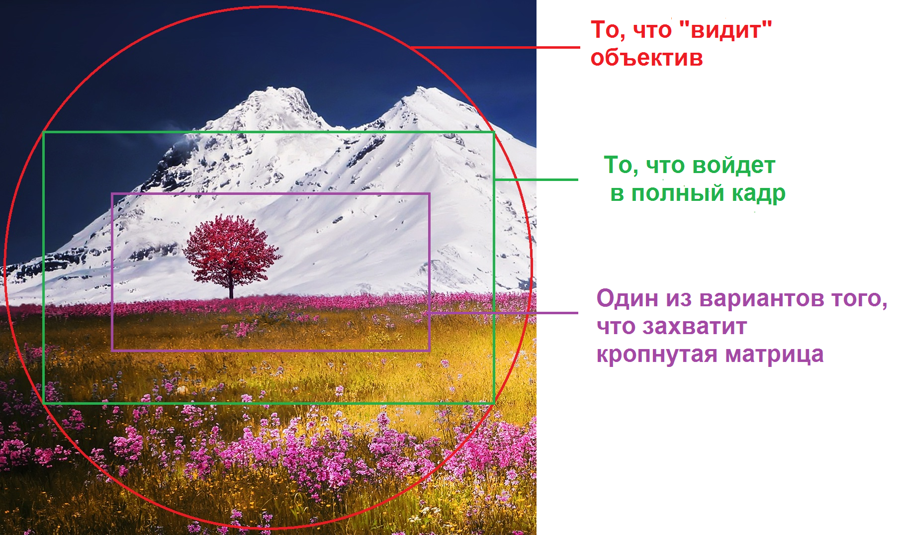 Representación esquemática de la influencia del factor de cultivo.