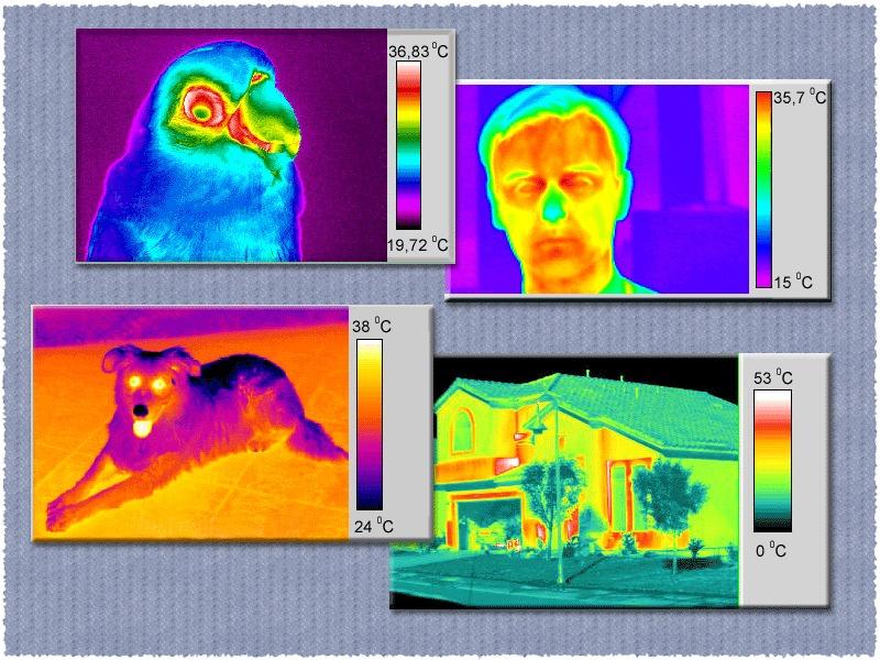 Thermogram