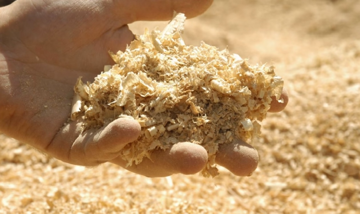 Application of sawdust