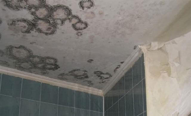 mold and mildew under the suspended ceiling in the bathroom