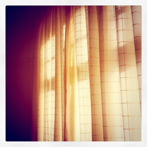 Windows covered with curtains