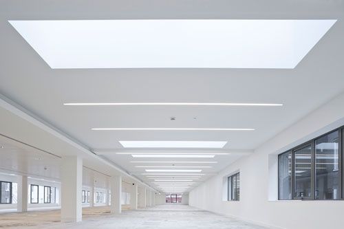 fashionable ceilings in 2020