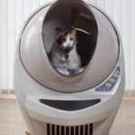 Smart cat litter box