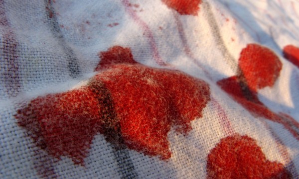 Blood stains