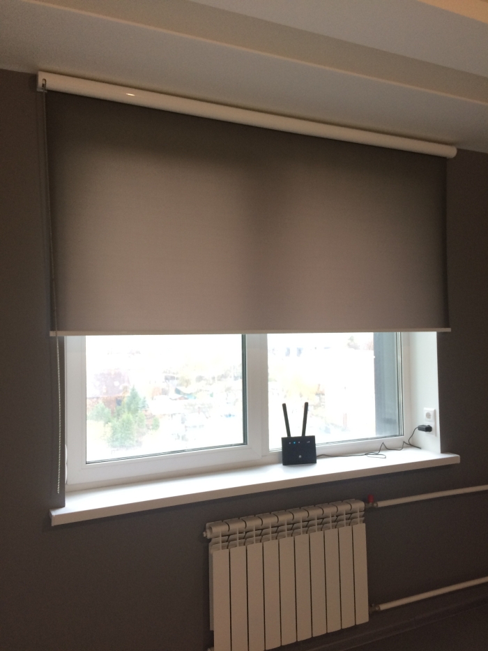 roller blinds for the living room in a minimalist style