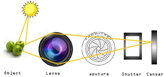 Funcionament d'una càmera SLR.