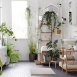 11 plantas que puedes poner hasta... en el baño