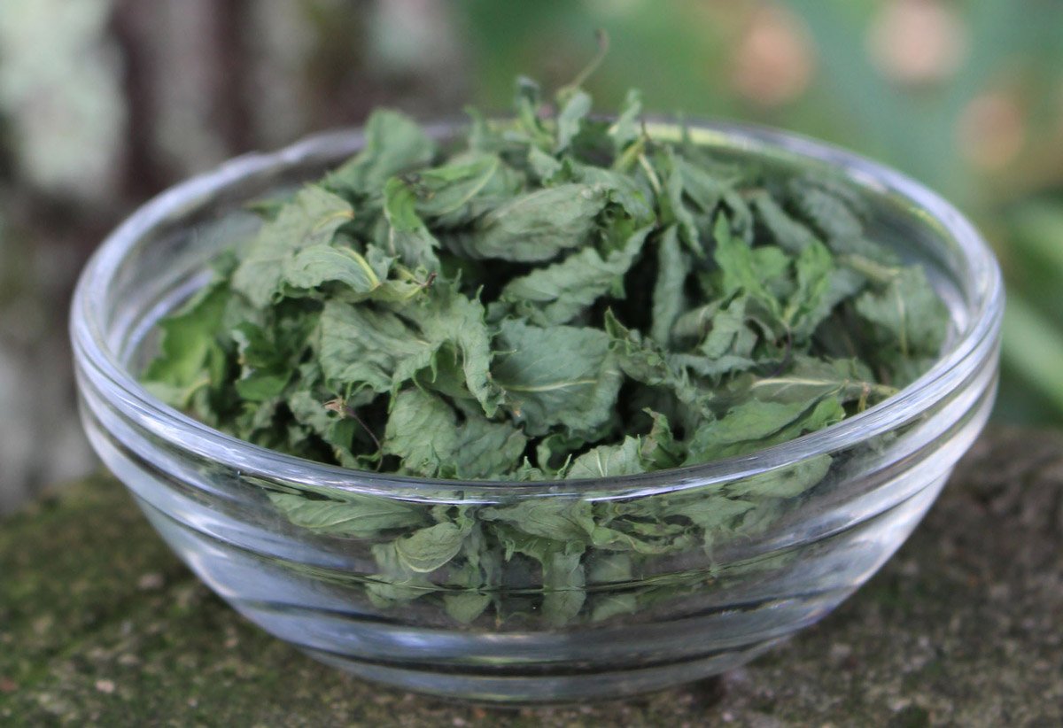 Infusión de melisa con menta