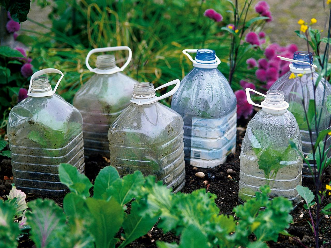 Mini greenhouse