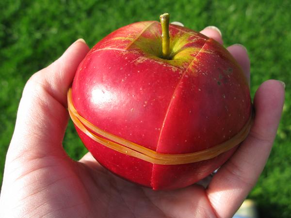 Borrachas de papelaria para frutas