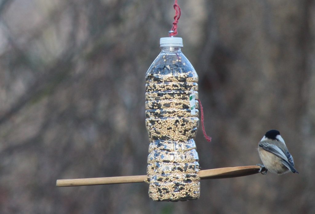 comederos para pájaros