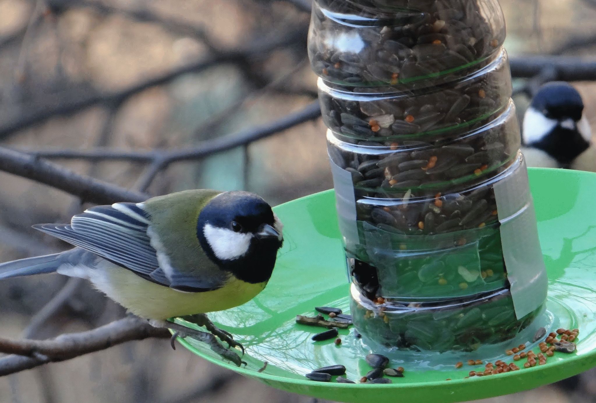 vogelvoeder gemaakt van een plastic fles