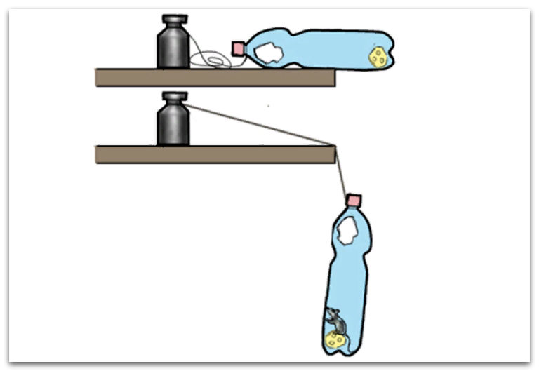 trampa para ratones con botella